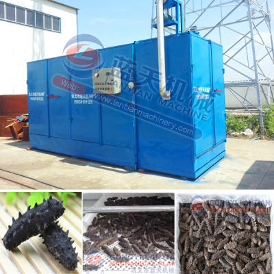 trepang dryer equipment