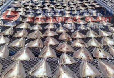 small fish drying machine