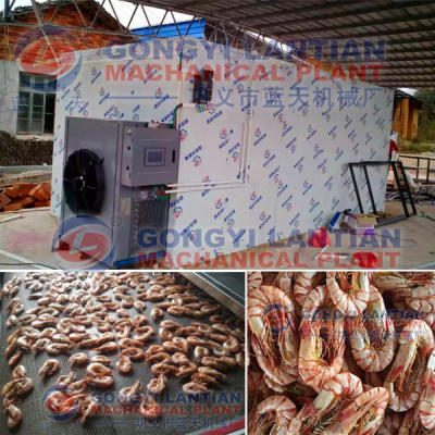 shrimp dryer machine manufacturer
