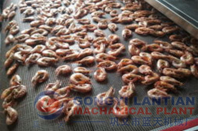 shrimp dryer machine manufacturer