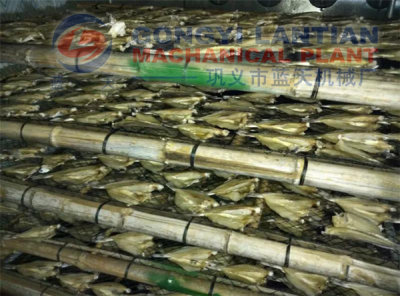 dry fish machine manufacturer