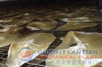 fish drying machine in china