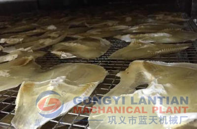 modern fish drying equipment 