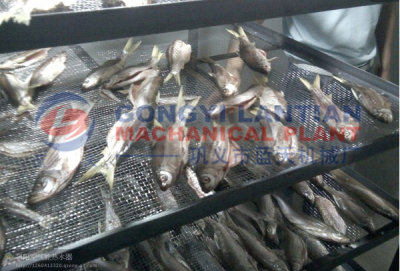 Fish drying machine   