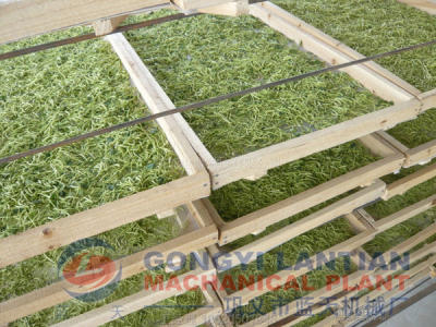 honeysuckle drying equipment supplier