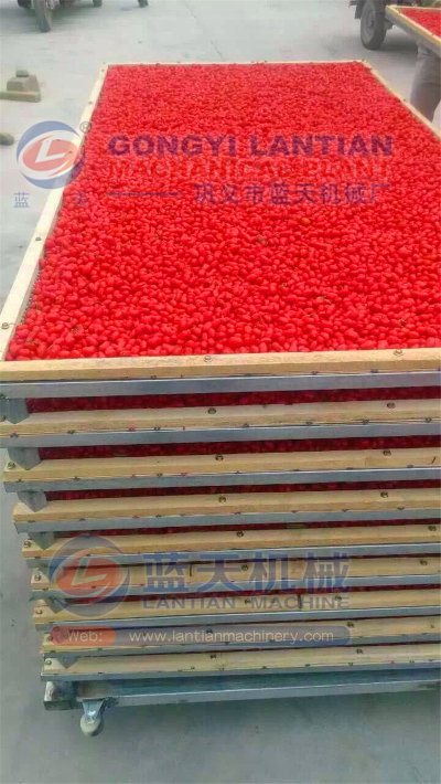 medlar drying equipment