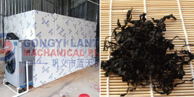 seeweed dryer supplier