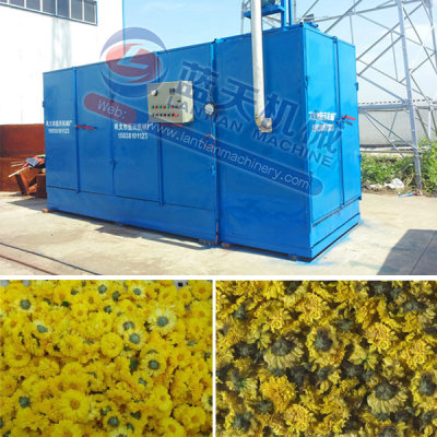 chrysanthemum dryer machine