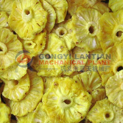 jack fruit drying machine