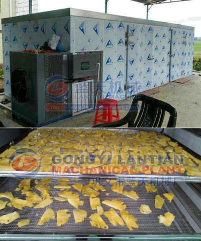 jack fruit drying machine