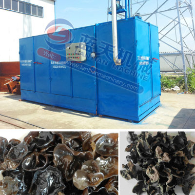 agaric drying equipment