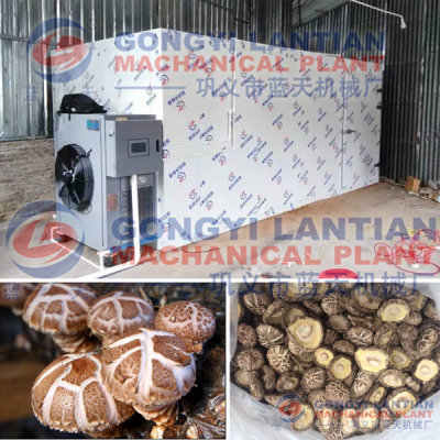 mushroom drying equipment suppliers