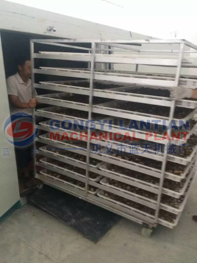 mushroom drying equipment suppliers