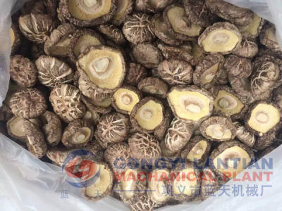 mushroom dryer for sale