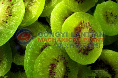 kiwi fruit dryer equipment