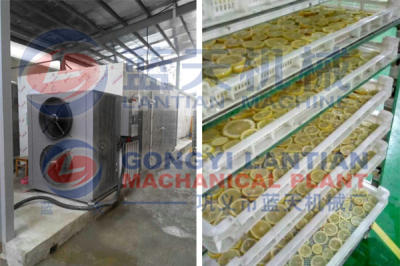 lemon chips drying machine