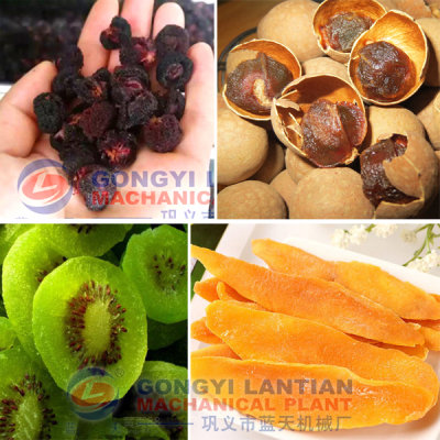 fruit drying machine supplier