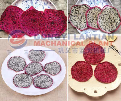 pitaya drying equipment