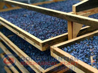 blueberry dryer equipment