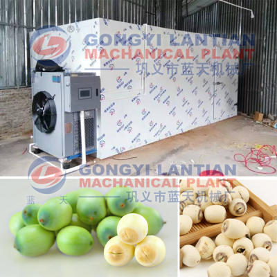 lotus seed dryer