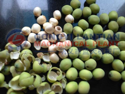 lotus seed dryer