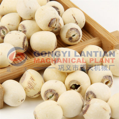 lotus seed dryer