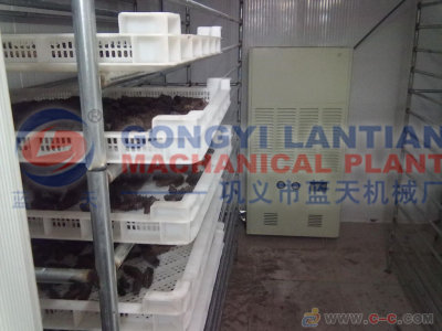 Trepang Drying Equipment