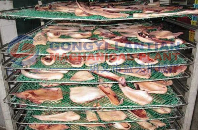  salted fish drying machine