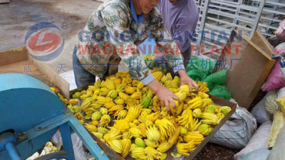 Finger Citron Dryer