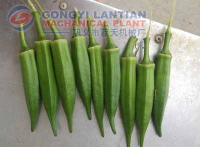 Okra Dryer