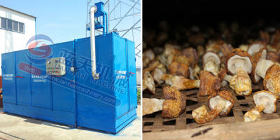 Agaricus Blazei Murrill Dryer Machine