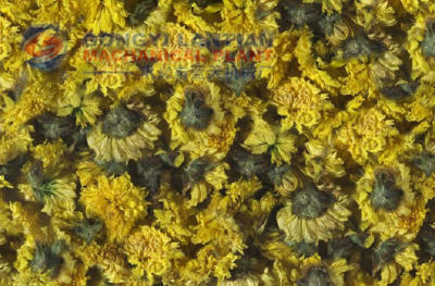 Chrysanthemum Dryer