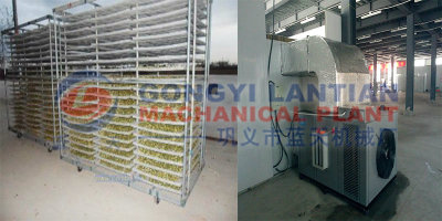 Chrysanthemum Dryer