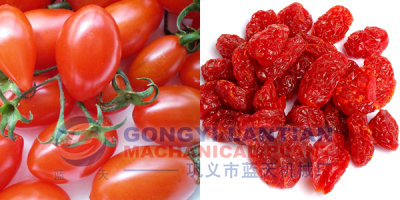 Tomato Drying Machine Equipment