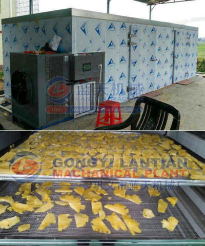 Jackfruit Drying Machine