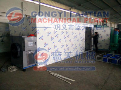 Preserved Fruit Drying Machine