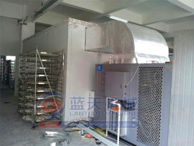 Cassava Chips Dryer