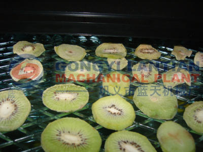 Kiwi fruit dryer