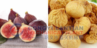 Fig Fruit Dryer