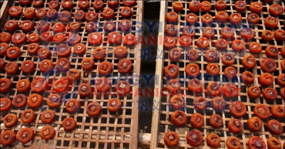 Persimmon Dryer