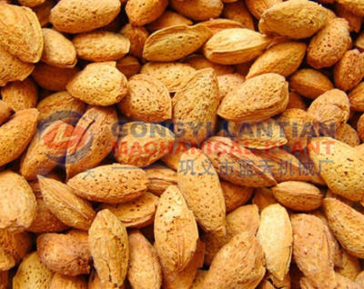 Almond Dryer