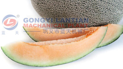 Honeydew melon dryer