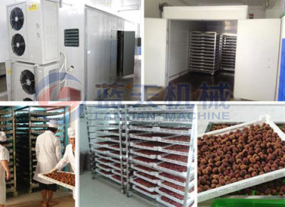 Litchi dryer machine