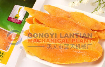 Mango Slice Dryer