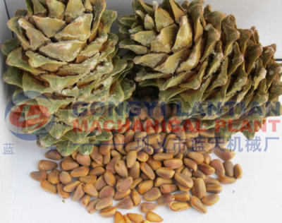 Pine Nut Dryer