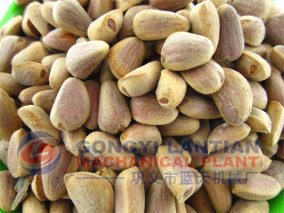Pine Nut Dryer