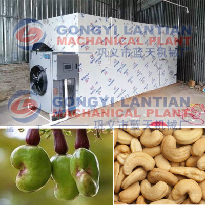 Cashew Nut Drying Machine