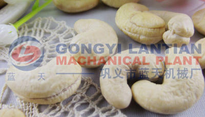 Cashew Nut Drying Machine
