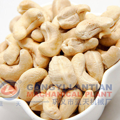 Cashew Nut Drying Machine