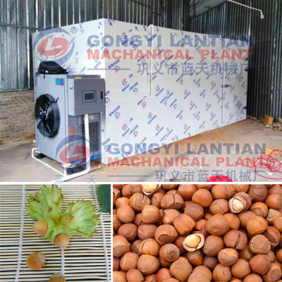 Filbert Drying Machine